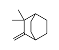 3,3-dimethyl-2-methylidenebicyclo[2.2.2]octane结构式
