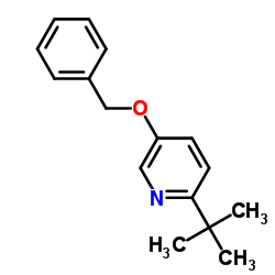 5-(Benzyloxy)-2-(2-methyl-2-propanyl)pyridine Structure