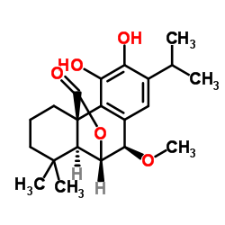 (-)-7-Methoxyrosmanol结构式