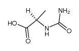 D-Alanine, N-(aminocarbonyl)- (9CI) picture