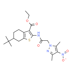 ethyl 6-(tert-butyl)-2-(2-(3,5-dimethyl-4-nitro-1H-pyrazol-1-yl)acetamido)-4,5,6,7-tetrahydrobenzo[b]thiophene-3-carboxylate结构式
