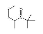 2-tert-butylsulfinylpentane Structure