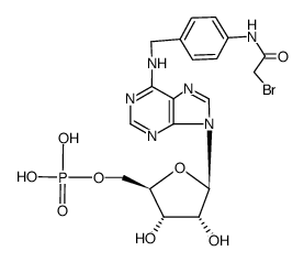 N6-[4-(2-bromo-acetylamino)-benzyl]-[5']adenylic acid Structure
