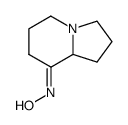 8(5H)-Indolizinone,hexahydro-,oxime,(+)-(9CI) Structure