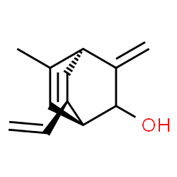 Bicyclo[2.2.2]oct-5-en-2-ol, 7-ethenyl-5-methyl-3-methylene-, (1R,4S,7R)-rel- (9CI)结构式