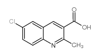 6-氯-2-甲基-喹啉-3-羧酸结构式