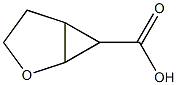 2-oxabicyclo[3.1.0]hexane-6-carboxylic acid structure