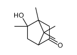 5-Keto-2-Methyl Isoborneol structure