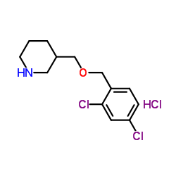 3-{[(2,4-Dichlorobenzyl)oxy]methyl}piperidine hydrochloride (1:1) structure