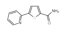 5-(2-PYRIDYL)THIOPHENE-2-CARBOXAMIDE Structure