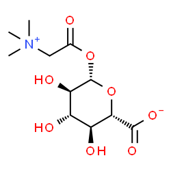 [(β-D-glucopyranuronosyl)carboxylatomethyl]trimethylammonium结构式