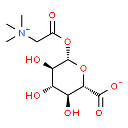 [(β-D-glucopyranuronosyl)carboxylatomethyl]trimethylammonium Structure