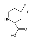 (2S)-4,4-difluoropiperidine-2-carboxylic acid picture