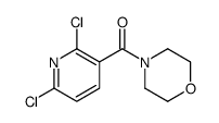 (2,6-dichloropyridin-3-yl)-morpholin-4-ylmethanone结构式