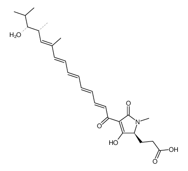 2,5-Dihydro-3-hydroxy-4-(13-hydroxy-10,12,14-trimethyl-1-oxo-2,4,6,8,10-pentadecapentenyl)-1-methyl-5-oxo-1H-pyrrole-2-propanoic acid structure