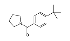 (4-tert-butylphenyl)-pyrrolidin-1-ylmethanone结构式