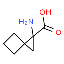 Spiro[2.3]hexane-1-carboxylic acid, 1-amino- (9CI) Structure