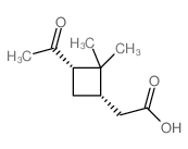 2-((1S,3S)-3-Acetyl-2,2-Dimethylcyclobutyl)Acetic Acid Structure