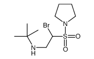 N-(2-bromo-2-pyrrolidin-1-ylsulfonylethyl)-2-methylpropan-2-amine结构式