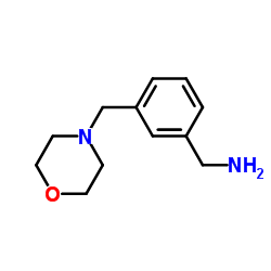 [3-(morpholinomethyl)phenyl]methylamine structure