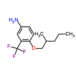 4-[(2-Methylpentyl)oxy]-3-(trifluoromethyl)aniline结构式