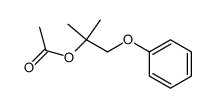 acetic acid-(phenoxy-tert-butyl ester)结构式