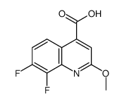 7,8-difluoro-2-methoxyquinoline-4-carboxylic acid结构式