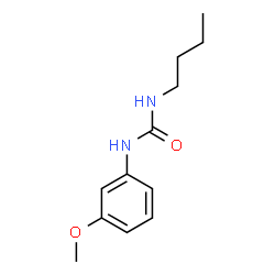 (BUTYLAMINO)-N-(3-METHOXYPHENYL)FORMAMIDE Structure