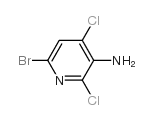 3-AMINO-6-BROMO-2,4-DICHLOROPYRIDINE picture