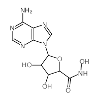 b-D-Ribofuranuronamide,1-(6-amino-9H-purin-9-yl)-1-deoxy-N-hydroxy- structure
