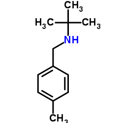 2-Methyl-N-(4-methylbenzyl)-2-propanamine结构式