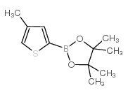 4-Methylthiophene-2-boronic acid, pinacol ester picture