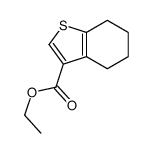 4,5,6,7-四氢苯并[b]噻吩-3-羧酸乙酯结构式