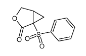 1-(phenylsulfonyl)-3-oxabicyclo[3.1.0]hexan-2-one Structure