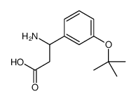 3-氨基-3-(3-叔丁氧基苯基)丙酸结构式