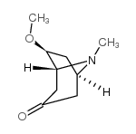 (6R)-6-methoxy-8-methyl-8-azabicyclo[3.2.1]octan-3-one Structure