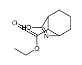 ethyl 7-oxo-6-azabicyclo[3.2.1]octane-8-carboxylate Structure