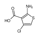 2-amino-4-chlorothiophene-3-carboxylic acid Structure