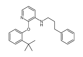 2-(2-tert-butylphenoxy)-N-(3-phenylpropyl)pyridin-3-amine Structure