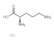 H-D-Orn-OH·HCl Structure