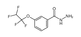 Benzhydrazide, 3-(1,1,2,2-tetrafluoroethoxy)- picture