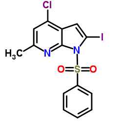 1-(Phenylsulphonyl)-4-chloro-2-iodo-6-Methyl-7-azaindole图片