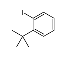 1-tert-butyl-2-iodobenzene Structure