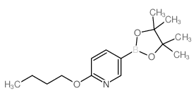 6-Butoxypyridine-3-boronic acid pinacol ester结构式