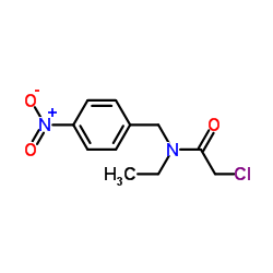 2-Chloro-N-ethyl-N-(4-nitrobenzyl)acetamide结构式