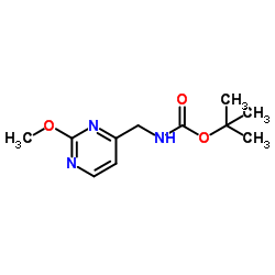 tert-Butyl ((2-Methoxypyrimidin-4-yl)Methyl)carbamate structure