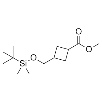 甲基环丁烷结构式图片