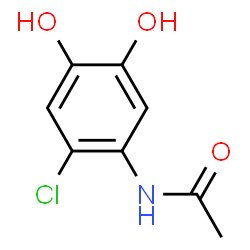 Acetamide, N-(2-chloro-4,5-dihydroxyphenyl)- (9CI) structure