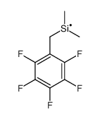 Dimethyl[(pentafluorophenyl)methyl]silane structure