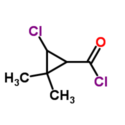 Cyclopropanecarbonyl chloride, 3-chloro-2,2-dimethyl- (9CI) structure
